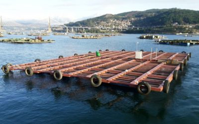 RDC uses CORROCHIP in mussel cultivation rafts in its SELMUS project